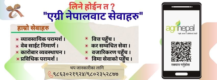 Agri Nepal Services-1